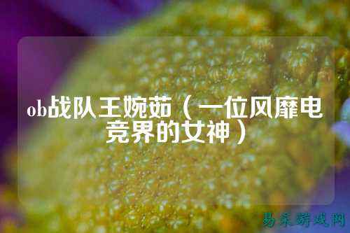 ob战队王婉茹（一位风靡电竞界的女神）