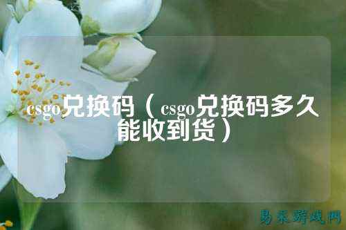 csgo兑换码(csgo兑换码多久能收到货)