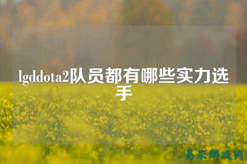 lgddota2队员都有哪些实力选手