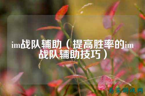 im战队辅助（提高胜率的im战队辅助技巧）