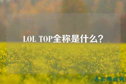 LOL TOP全称是什么?