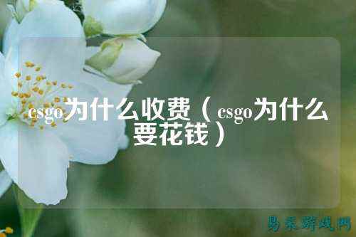 csgo为什么收费(csgo为什么要花钱)