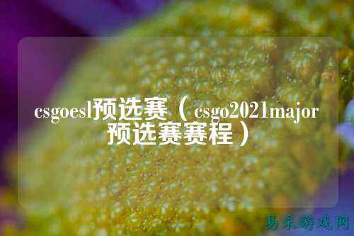 csgoesl预选赛(csgo2021major预选赛赛程)