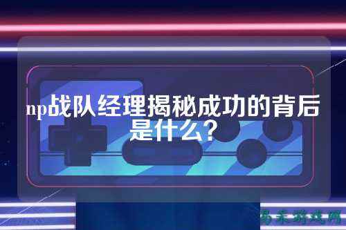 np战队经理揭秘成功的背后是什么？
