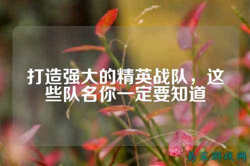打造强大的精英战队，这些队名你一定要知道
