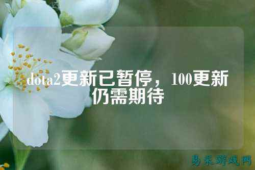 dota2更新已暂停,100更新仍需期待
