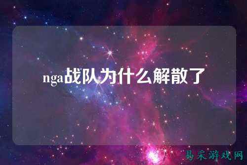 nga战队为什么解散了