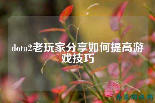 dota2老玩家分享如何提高游戏技巧