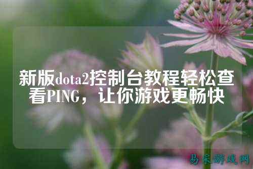 新版dota2控制台教程轻松查看PING,让你游戏更畅快