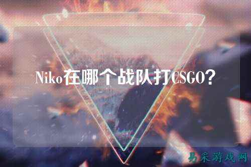 Niko在哪个战队打CSGO？