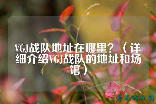 VGJ战队地址在哪里？（详细介绍VGJ战队的地址和场馆）
