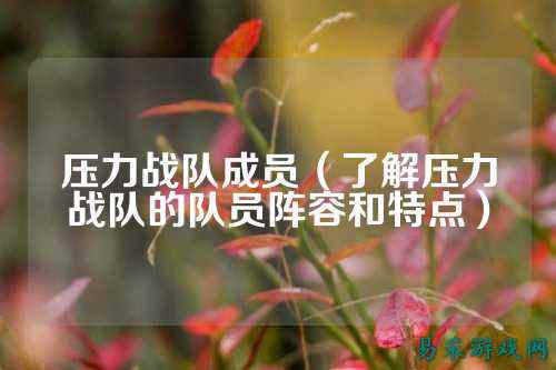 压力战队成员（了解压力战队的队员阵容和特点）