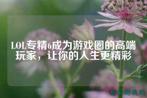 LOL专精6成为游戏圈的高端玩家,让你的人生更精彩