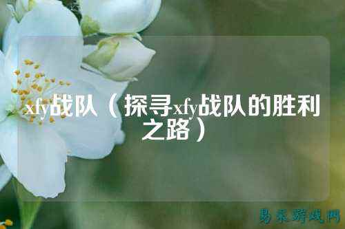 xfy战队（探寻xfy战队的胜利之路）