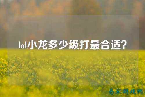 lol小龙多少级打最合适?