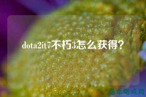 dota2it7不朽3怎么获得?