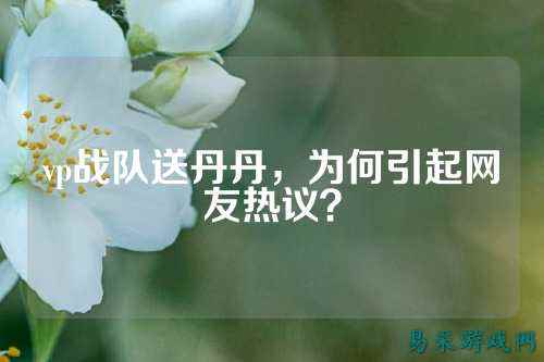 vp战队送丹丹，为何引起网友热议？