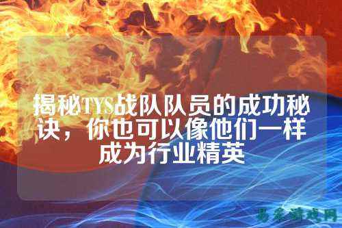 揭秘TYS战队队员的成功秘诀，你也可以像他们一样成为行业精英