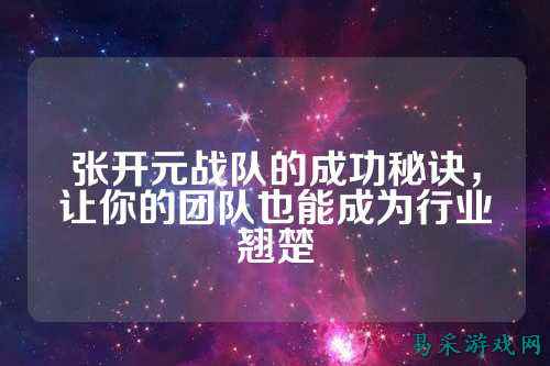 张开元战队的成功秘诀，让你的团队也能成为行业翘楚