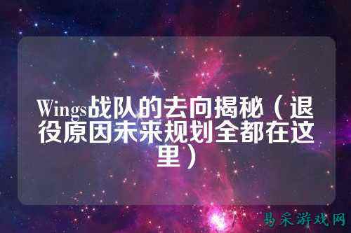 Wings战队的去向揭秘（退役原因未来规划全都在这里）