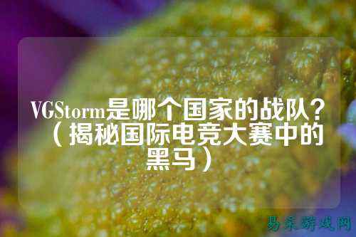 VGStorm是哪个国家的战队？（揭秘国际电竞大赛中的黑马）