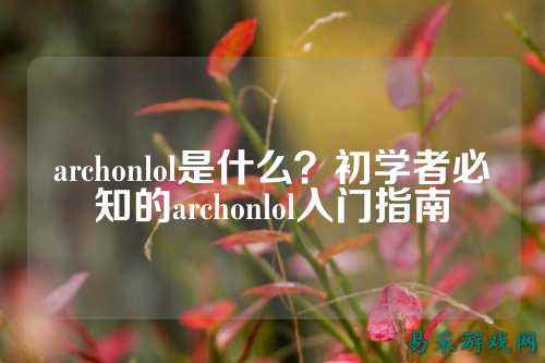 archonlol是什么?初学者必知的archonlol入门指南