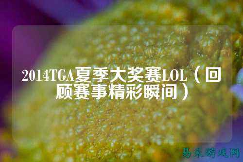 2014TGA夏季大奖赛LOL(回顾赛事精彩瞬间)