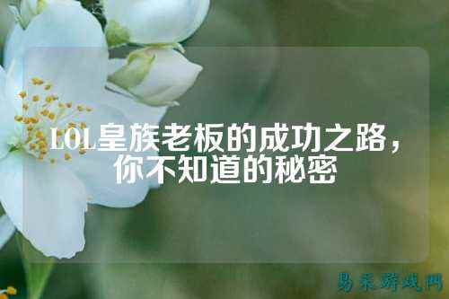 LOL皇族老板的成功之路，你不知道的秘密