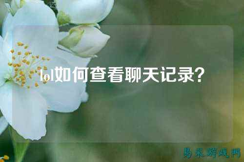 lol如何查看聊天记录？