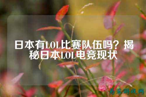 日本有LOL比赛队伍吗？揭秘日本LOL电竞现状