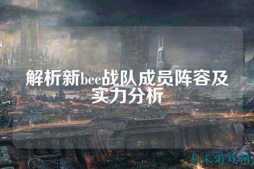 解析新bee战队成员阵容及实力分析