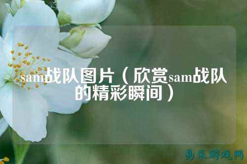 sam战队图片（欣赏sam战队的精彩瞬间）