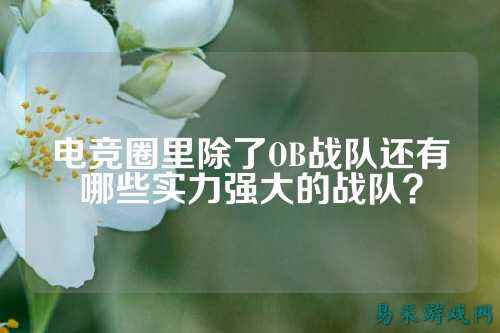 电竞圈里除了OB战队还有哪些实力强大的战队？