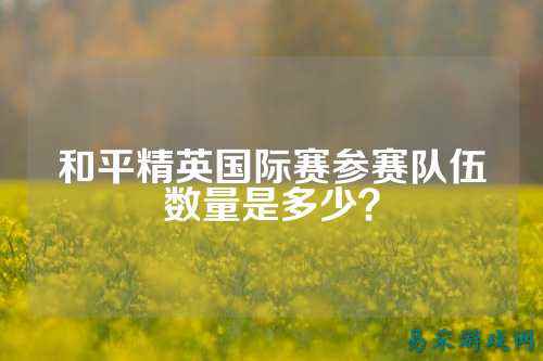 和平精英国际赛参赛队伍数量是多少？