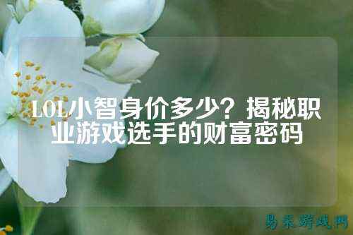 LOL小智身价多少？揭秘职业游戏选手的财富密码