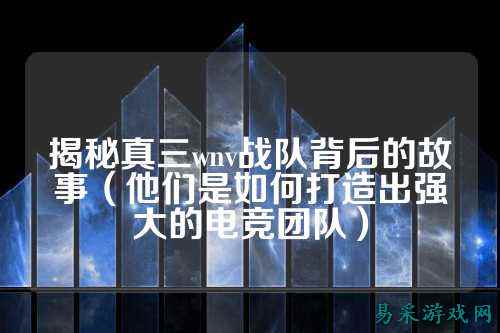 揭秘真三wnv战队背后的故事（他们是如何打造出强大的电竞团队）