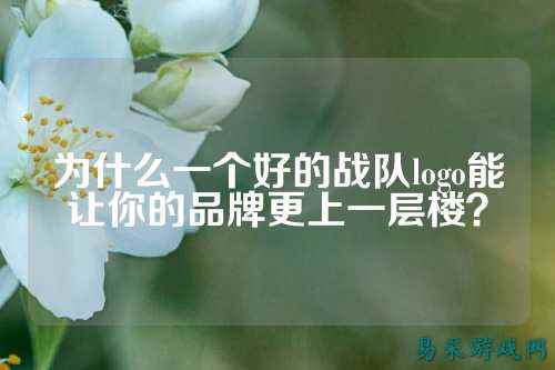 为什么一个好的战队logo能让你的品牌更上一层楼？