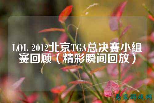 LOL 2012北京TGA总决赛小组赛回顾(精彩瞬间回放)