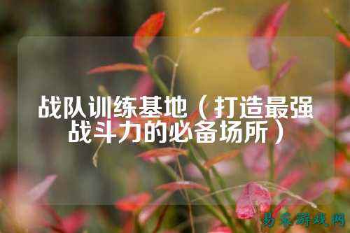 战队训练基地（打造最强战斗力的必备场所）