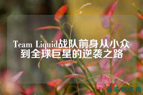 Team Liquid战队前身从小众到全球巨星的逆袭之路