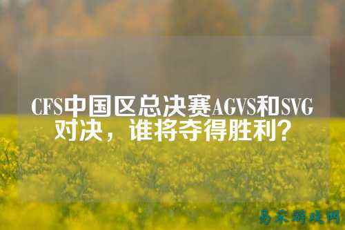 CFS中国区总决赛AGVS和SVG对决,谁将夺得胜利?