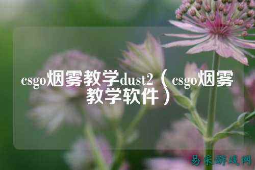 csgo烟雾教学dust2(csgo烟雾教学软件)