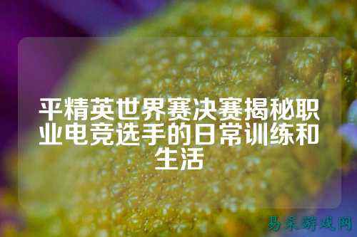 平精英世界赛决赛揭秘职业电竞选手的日常训练和生活