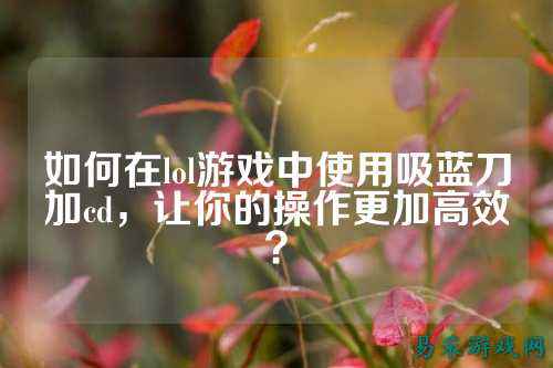 如何在lol游戏中使用吸蓝刀加cd,让你的操作更加高效?