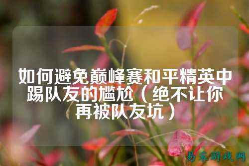 如何避免巅峰赛和平精英中踢队友的尴尬（绝不让你再被队友坑）