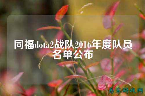 同福dota2战队2016年度队员名单公布