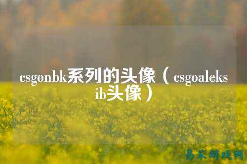 csgonbk系列的头像(csgoaleksib头像)