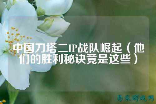 中国刀塔二IP战队崛起（他们的胜利秘诀竟是这些）