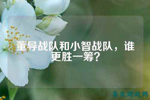 董导战队和小智战队，谁更胜一筹？