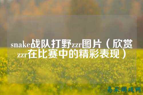snake战队打野zzr图片（欣赏zzr在比赛中的精彩表现）